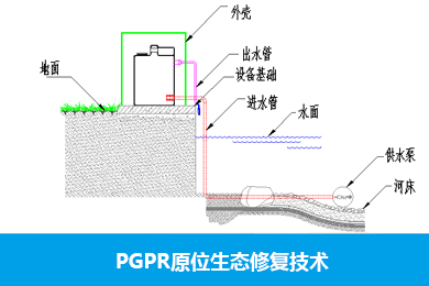 PGPR原（yuán）位生態修複技術