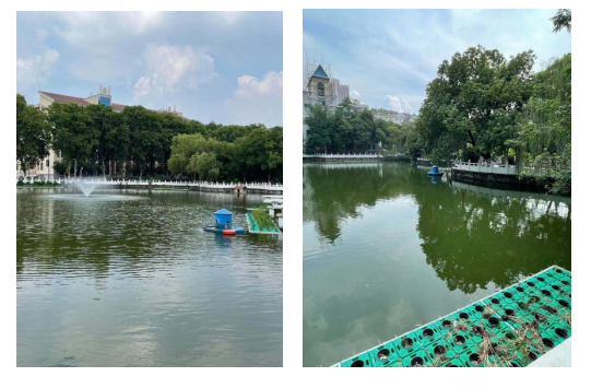 合肥某學院學院公寓區南湖水體（tǐ）汙染整治項目