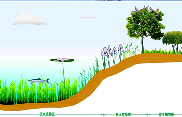駁岸整治